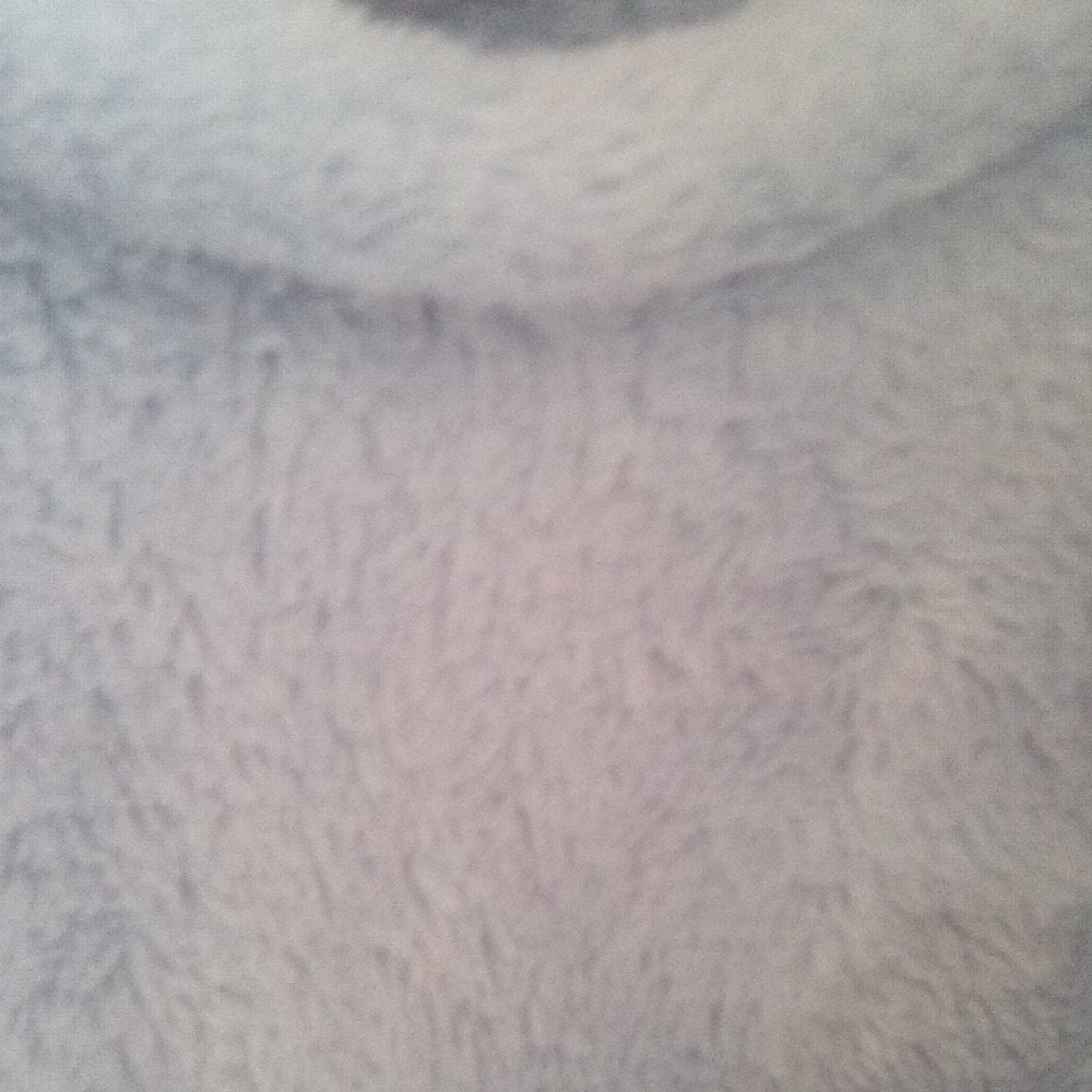 Adonna Plush Fleece Robe - Soft Gray